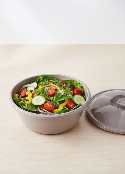 Миска пластиковая 7л с крышкой Stars Plast 94033 94033 фото